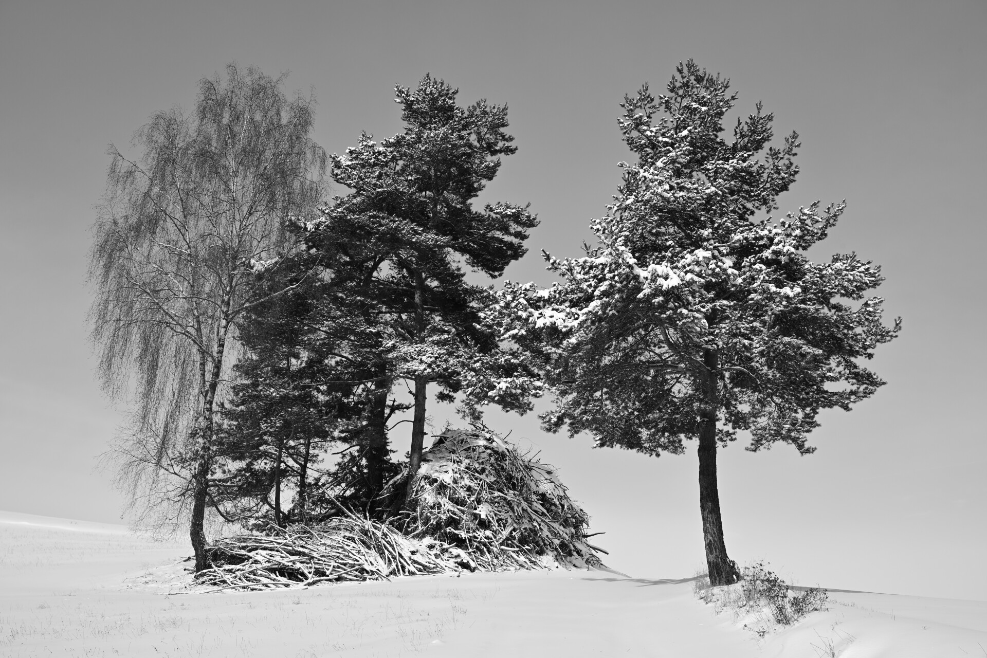 absage, trauer, schweigen – nachtrag