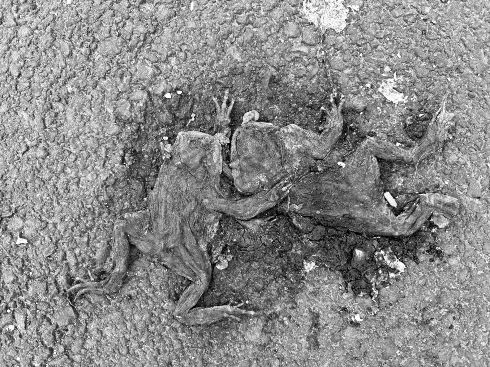 ein beteiligungsorientiertes spiel